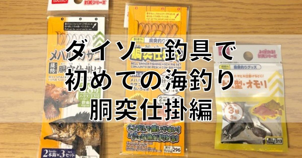 ダイソーの竿 リール 胴突き仕掛けで海釣りを始める方法 予算も解説 釣りと色々ブログ