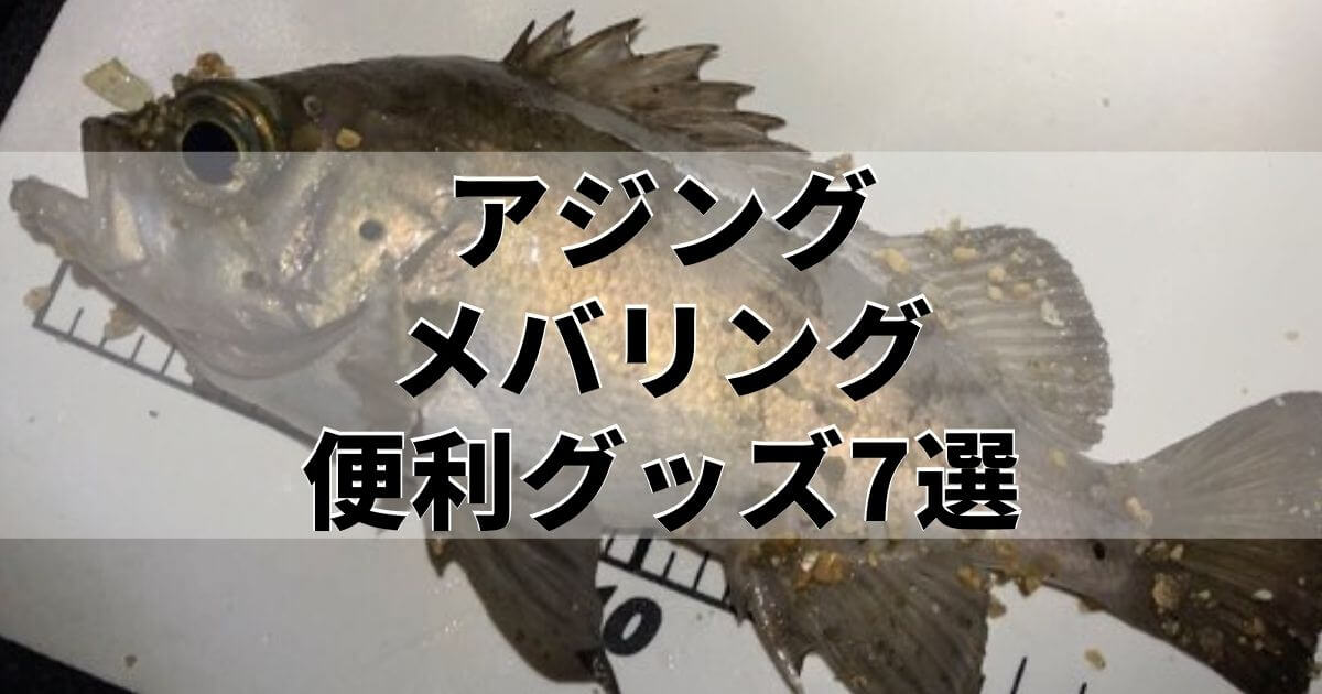 アジング メバリング の便利グッズ7選 釣りが快適になります 釣りと色々ブログ