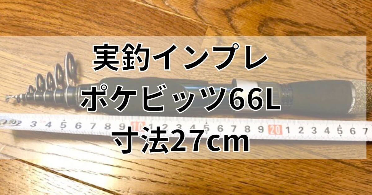 実釣インプレ 使える！ポケビッツで釣りをして感じたメリット・デメリット | 釣りと色々ブログ