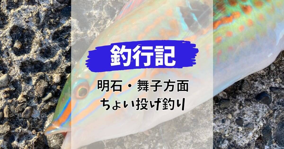 釣行記 明石・アジュール舞子 小物入れ喰いの7月ちょい投げ釣り 釣りと色々ブログ