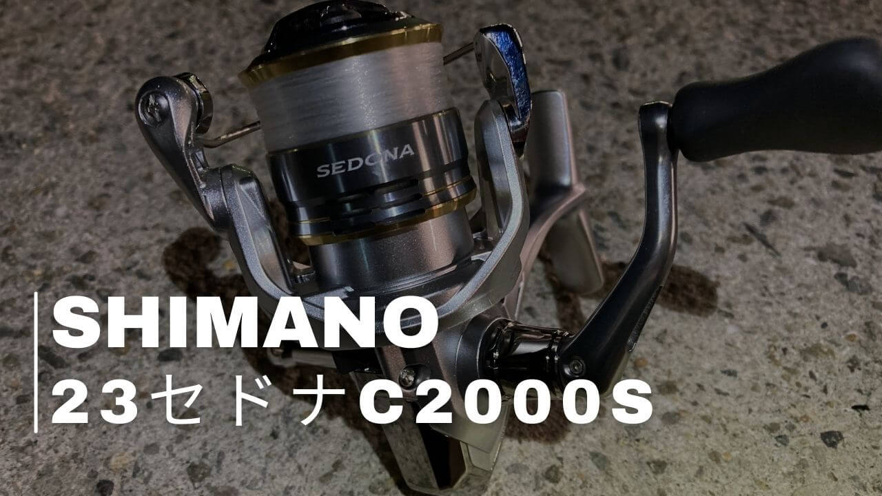 インプレ 23セドナC2000S 安くてカッコイイし使えるから高級