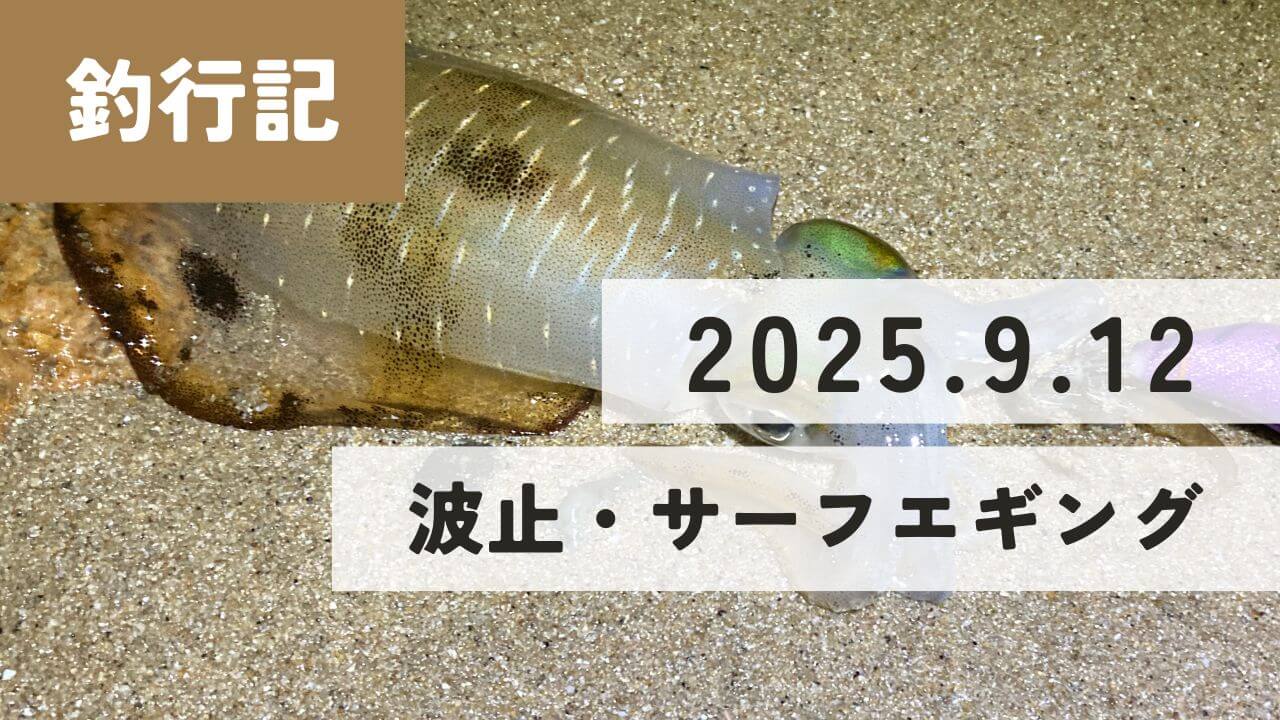 釣行記 2025.9.12 餌木猿ツツイカ紫マツバでエギング | 釣りと色々ブログ