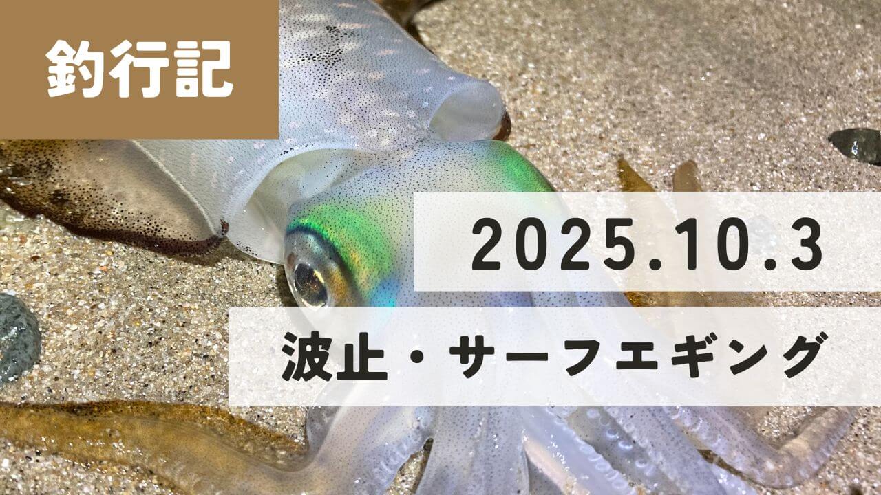 やっぱり餌木猿が強い 10月初旬サーフエギング 脱新子サイズ！ | 釣り