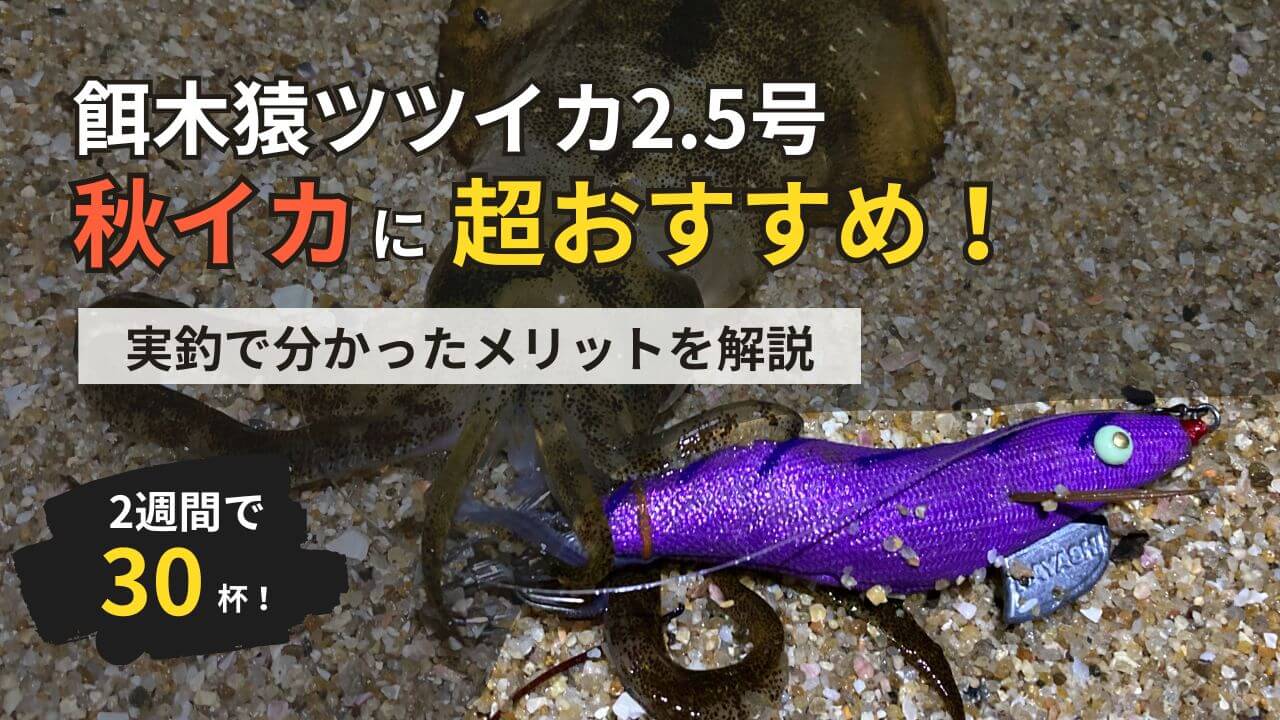 餌木猿ツツイカ2.5号インプレ アオリイカのエギングで使える | 釣りと