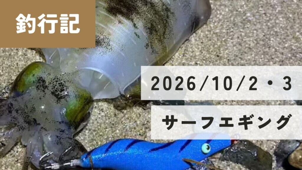 新明方面2026年10月のサーフエギング釣行記